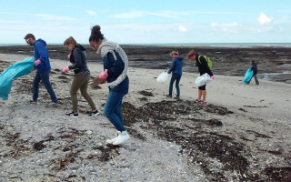 photo-la-vie-secr-te-de-nos-plages-56398