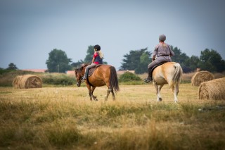 Promenade à cheval en arrière pays