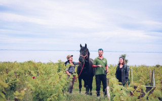 Hiking on the customs officers' trail with our donkeys and our riding horse