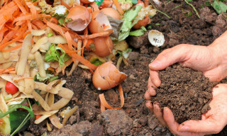 Recycler ses déchets au jardin