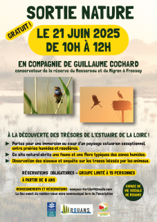 Sortie nature