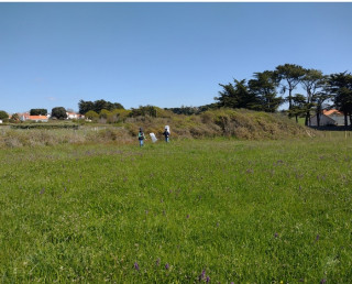 Sortie nature: la Joselière, prairies, papillons et orchidées  Pornic