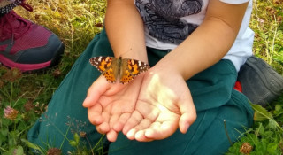 Sortie nature: Le vallon de Versannes La Bernerie en Retz