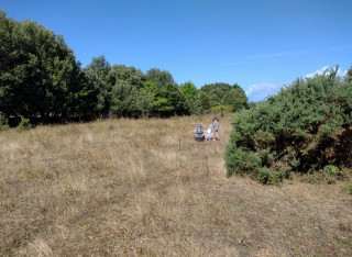 Sortie nature: Monval, prunelliers, papillons et criquets  Pornic