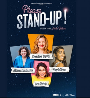 Spectacle: please stand up! pornic