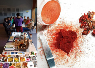 Stage pour découvrir les plantes et les pigments