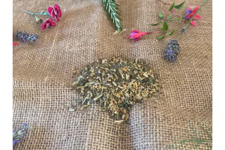 Praktikum: Kreativer Kräutertee – ein Tag auf der Öko-Domäne La Fontaine