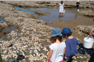 On the rocks at low tide 