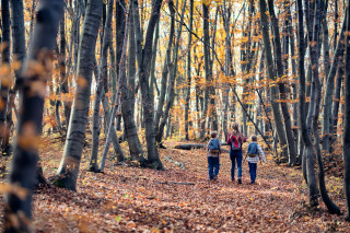 Vacances de la Toussaint - Passeport Animations Vacances d'Automne