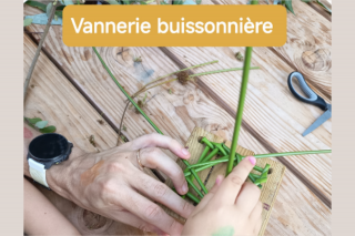 Vannerie buissonnière
