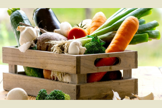 Vente de plants bio à la petite maison dans la prairie