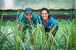 Visite de la Spiruline et Algues de Retz avec dégustation