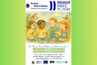 Visiter la Réserve Naturelle Régionale de La Pointe Saint-Gildas - spécial enfants