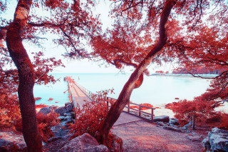 Conférence dans le cadre du Rendez-vous de l'Hêtre avec Yvon Haze