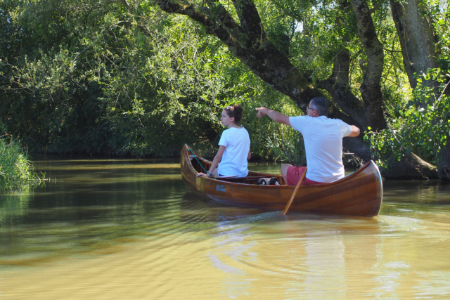 Balade en canoë - kayak au coucher du soleil avec Atlantic Kayak