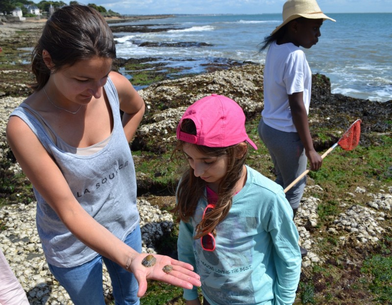 Visite enfant Pêche à pied et littoral