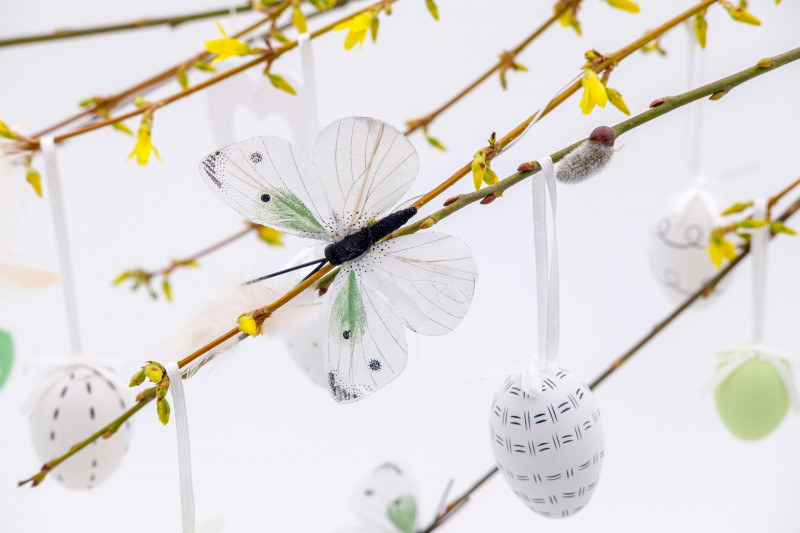Atelier adulte - Bougies et décorations inspirantes
