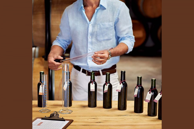 Workshop: Create Your Own Wine with an Oenologist in Pornic
