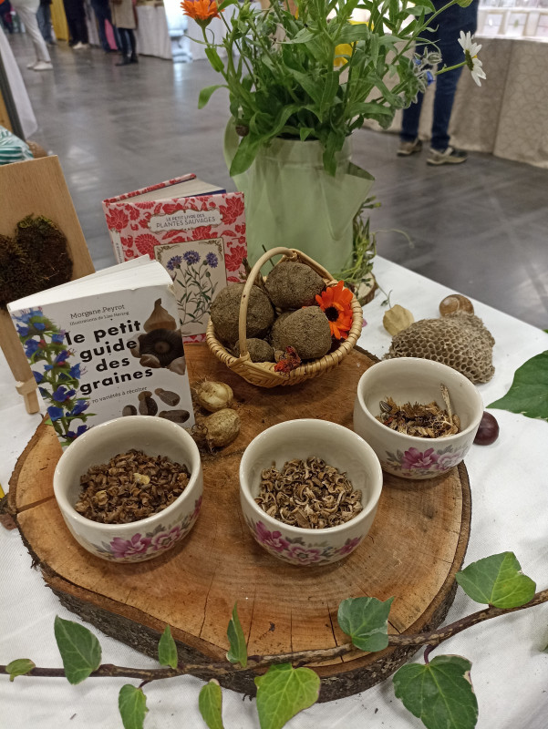 Atelier bombes à graines