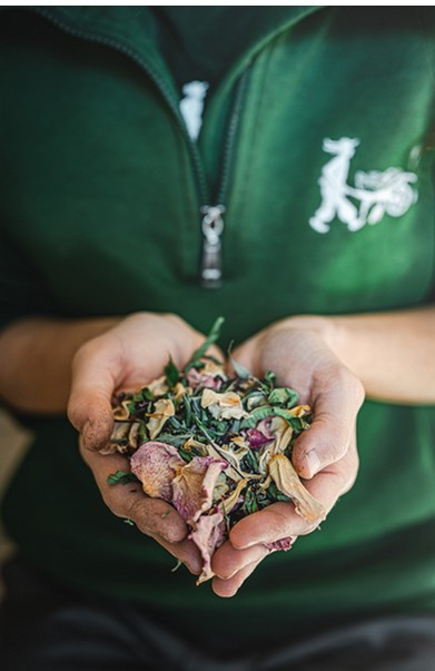 Atelier: composer sa tisane Pornic