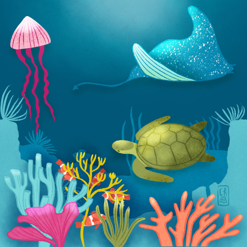 atelier-crea-marine-57184