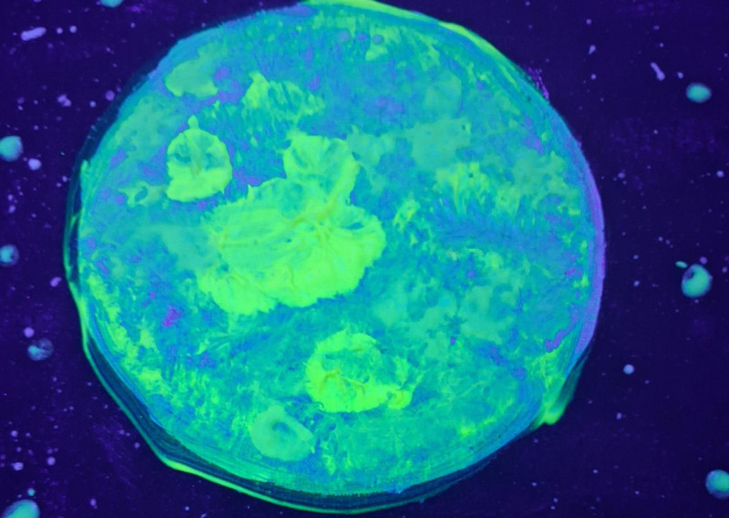  Atelier créatif dès 8 ans - Lune 3D lumineuse