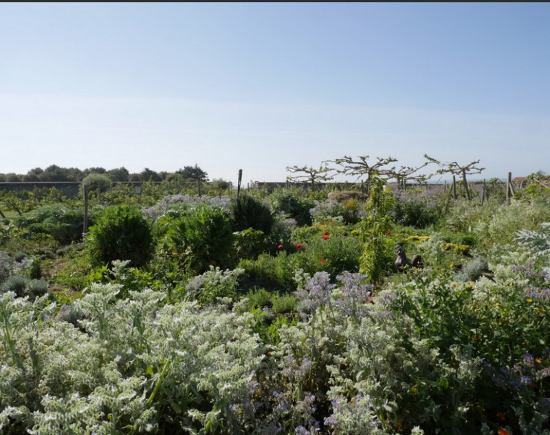 atelier création de jardin-fôret Pornic