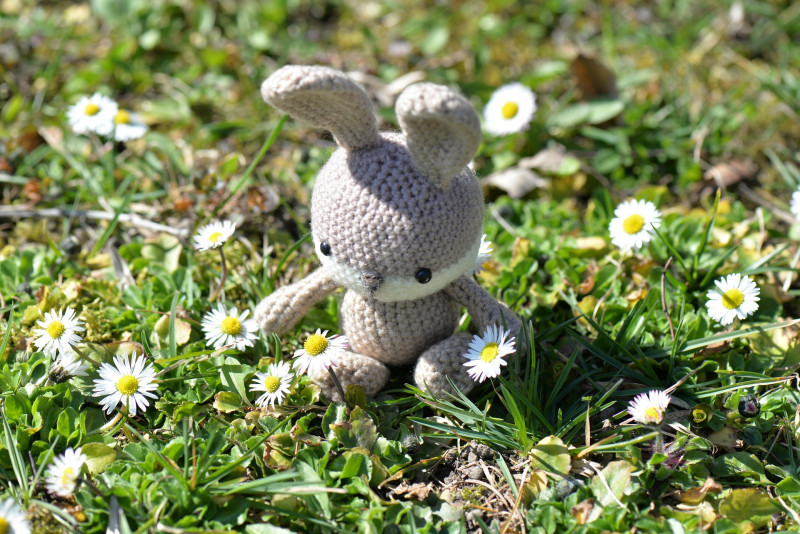 Atelier crochet