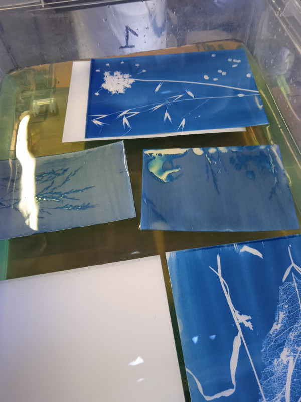 ATELIER CYANOTYPE PARENTS-ENFANTS - Préfailles