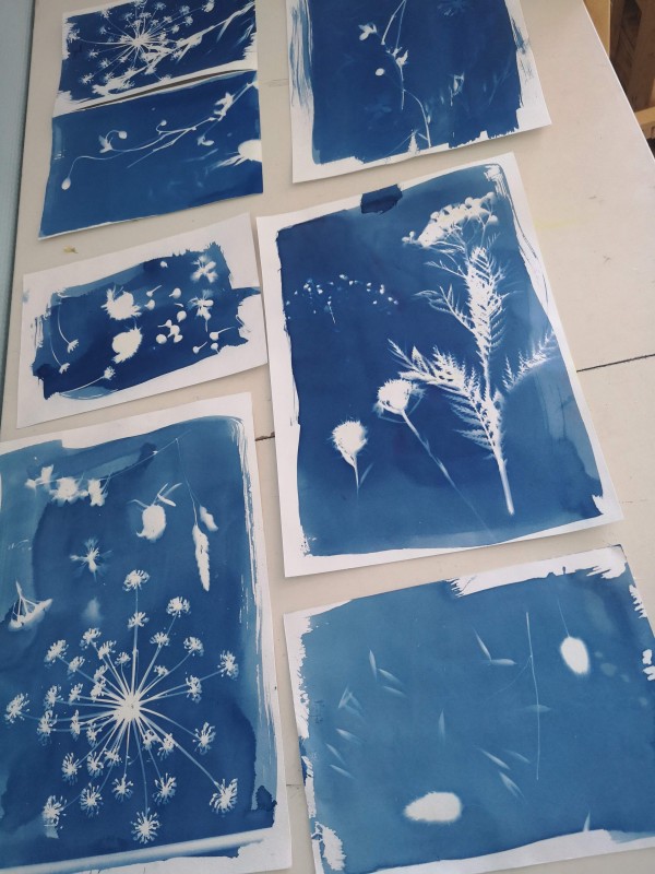 Atelier cyanotype
