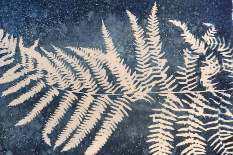 Atelier cyanotype duo adulte/enfant