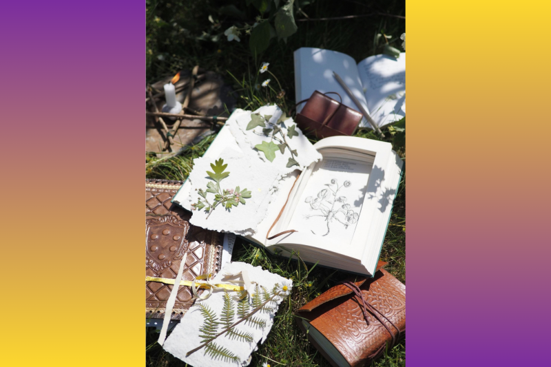 Atelier d'écriture pour Halloween : des plantes et des sorts