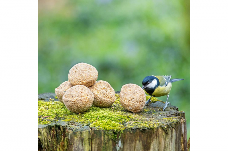 Atelier de fabrication d'une boule pour oiseaux à la ferme des Poulettes Villeneuve en Retz Destination Pornic