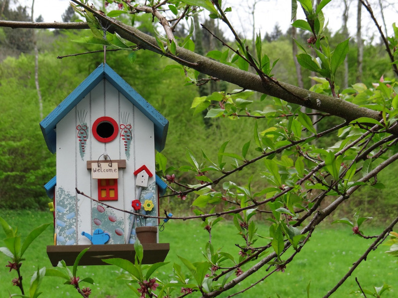 Atelier de fabrication nichoirs pour les oiseaux ferme des poulettes