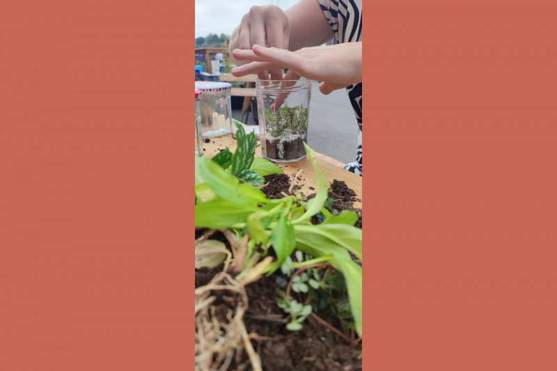 Atelier éco-responsable : mini terrarium