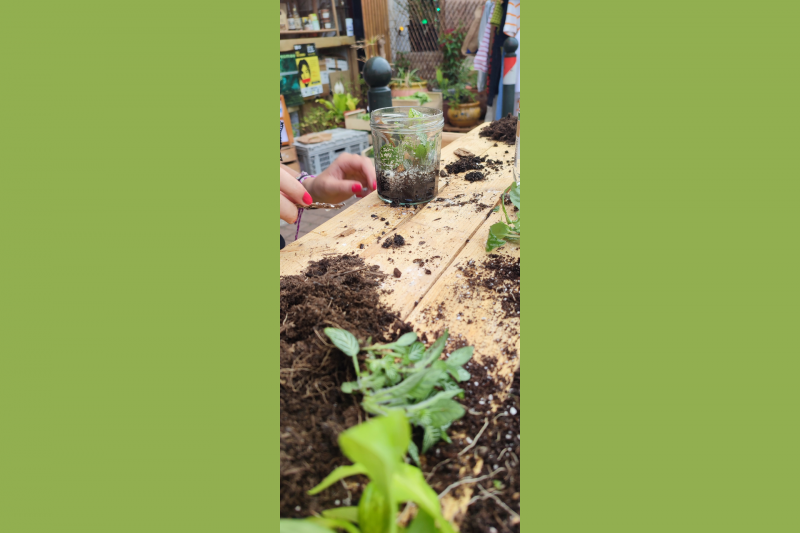 Atelier éco-responsable : terrarium