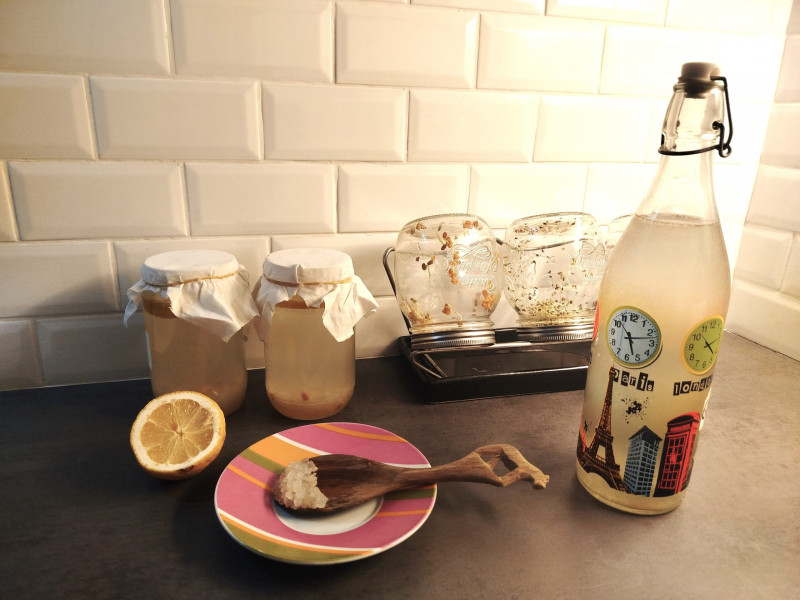  Atelier écogestes : l'alimentation vivante, ça vous tente ? Pornic alimentation vivante