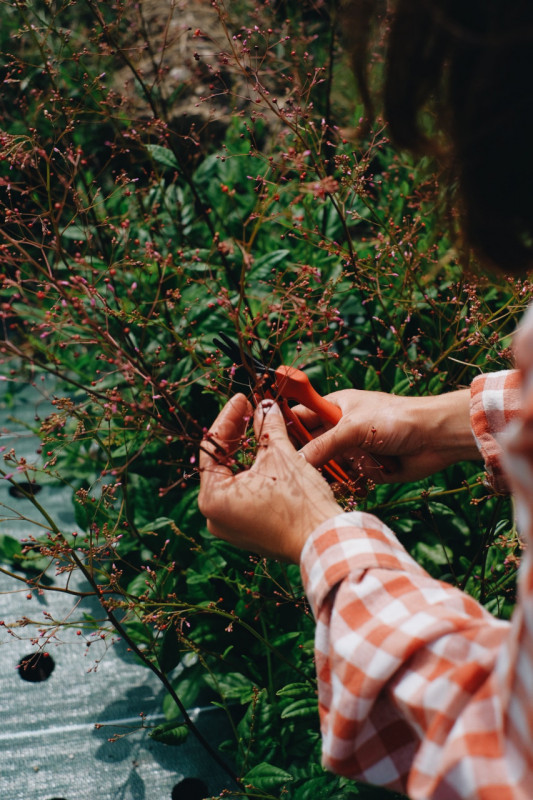 Atelier florale_Les Fleurs de la Fontaine_Pornic-bord de mer_plage_la fontaine aux bretons