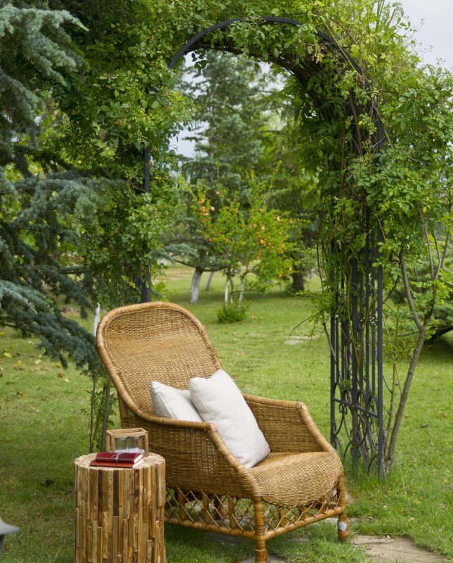 Atelier vannerie - Tontine pour les plantes grimpantes