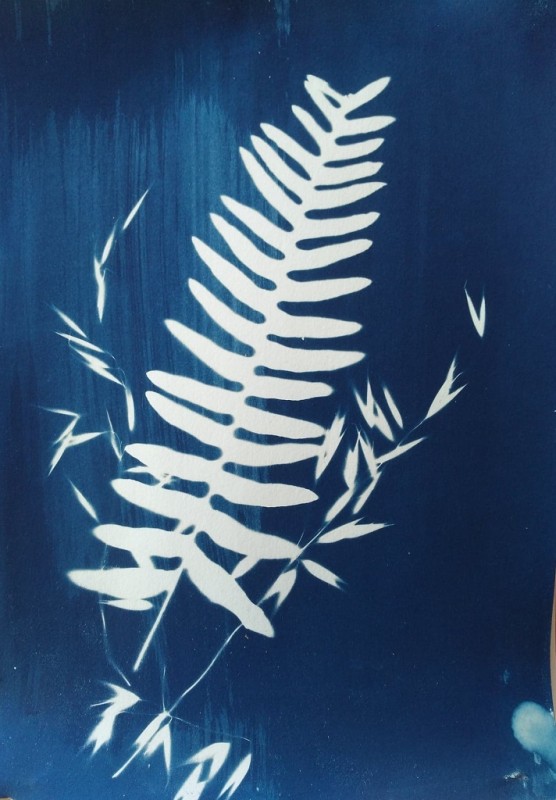 Cyanotype, Mediathèque Joseph Rousse, La Plaine sur mer, Destination Pornic