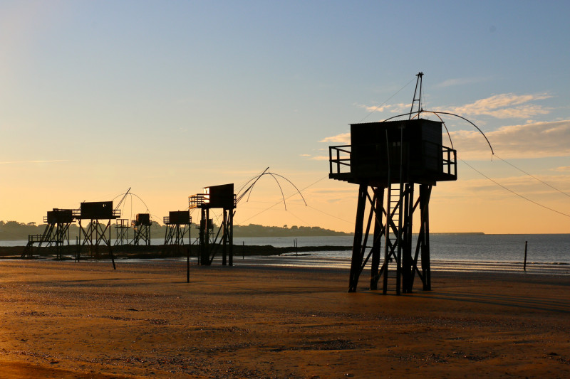 expo photos, animation, st michel, tharon plage, photos, salle du canopus, d clic photo 44