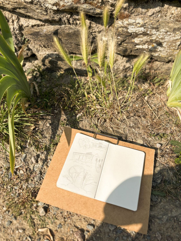 Balade dessinée