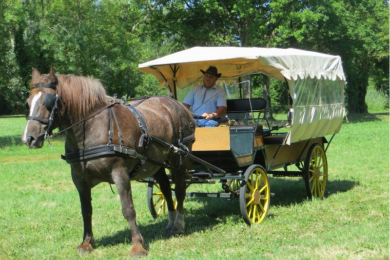 balade cheval calèche les moutiers en retz