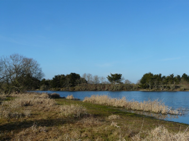 BALADE PEDESTRE LES ALENTOURS DE L'ETANG DES GATINEAUX ET VISITE A LA FERME