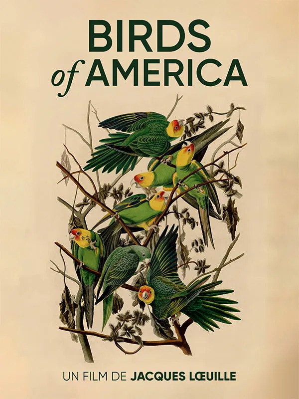birds-of-america-12-mars-56948