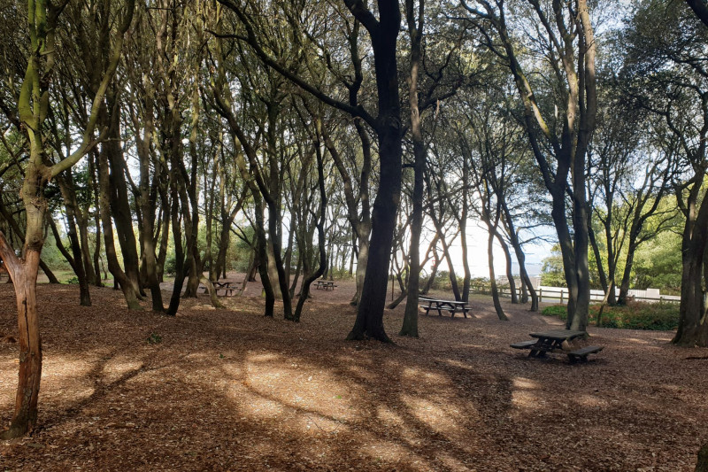 Course d'orientation au Bois Roy