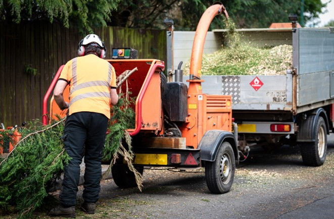 Mulchen Pflanzen Mulch Kompost