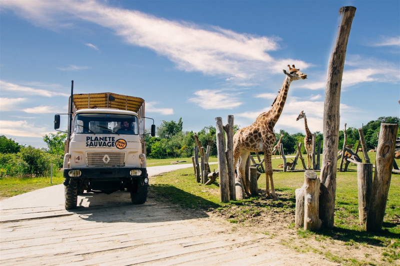 c-stephane-leludec-mongolie-12-55996