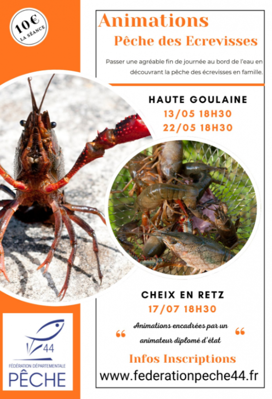 capture-d-cran-2026-04-22-145845-58885