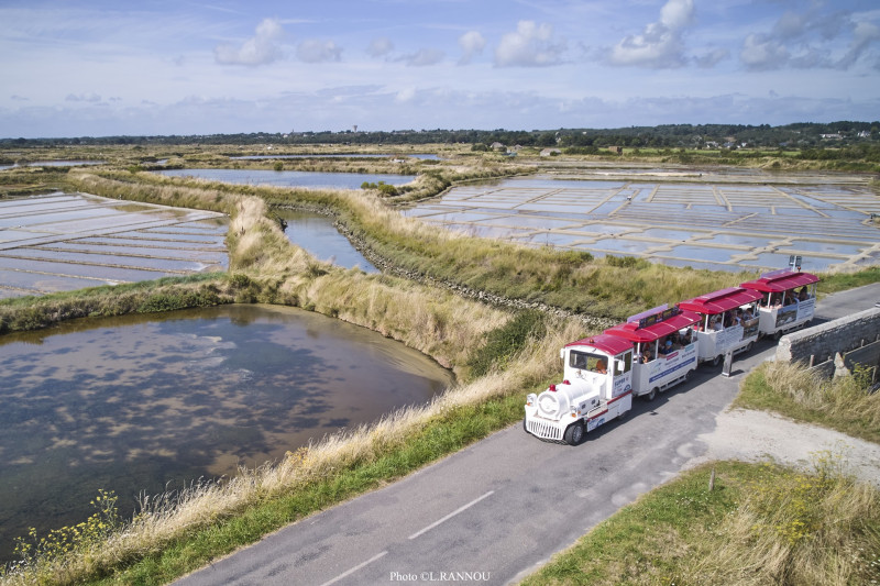 Circuit découverte en petit train touristique des Marais Salants de Guérande